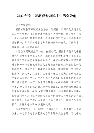 2023年度主题教育专题民主生活会会前研讨发言提纲