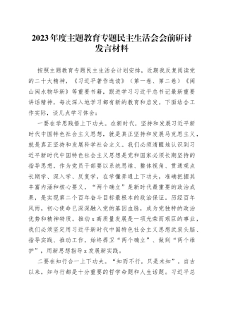 2023年度主题教育专题民主生活会会前研讨发言材料