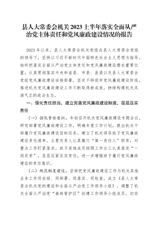 县人大常委会机关2023上半年落实全面从严治党主体责任和党风廉政建设情况的报告