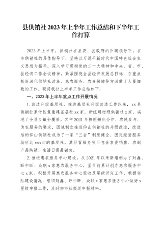 县供销社2023年上半年工作总结和下半年工作打算
