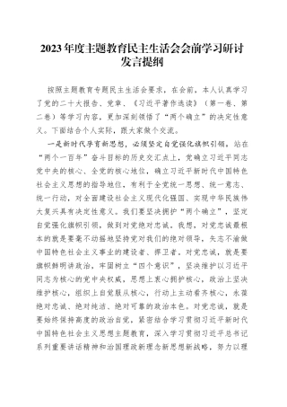 2023年度主题教育民主生活会会前学习研讨发言提纲