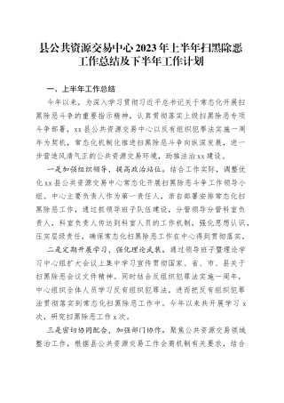 县公共资源交易中心2023年上半年扫黑除恶工作总结及下半年工作计划