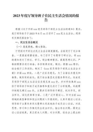 2023年度厅领导班子在民主生活会情况的报告