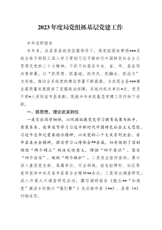 2023年度局党组抓基层党建工作半年述职报告