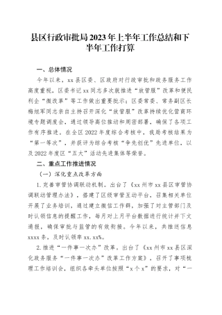 县区行政审批局2023年上半年工作总结和下半年工作打算