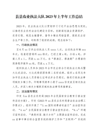 县县农业执法大队2023年上半年工作总结