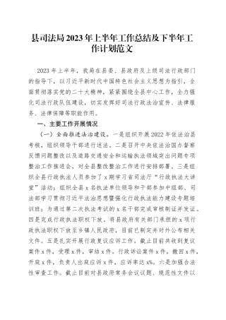 县司法局2023年上半年工作总结及下半年计划（汇报报告）