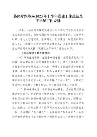 县医疗保障局2023年上半年党建工作总结及下半年工作安排