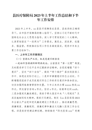 县医疗保障局2023年上半年工作总结和下半年工作安排（20230703）