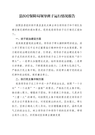 县医疗保障局领导班子运行情况报告(1)