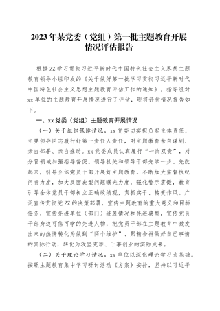2023年某党委（党组）第一批主题教育开展情况评估报告