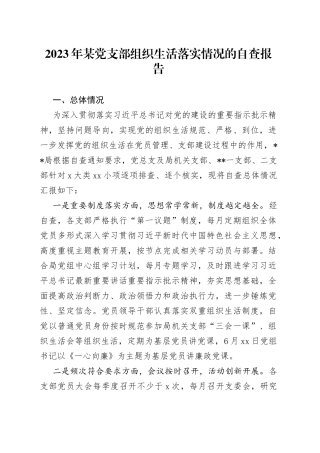 2023年某党支部组织生活落实情况的自查报告