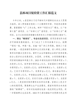 县抓项目促投资工作汇报经验材料总结报告