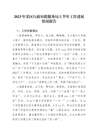 2023年某区行政审批服务局上半年工作进展情况报告