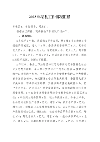 2023年某县工作情况汇报