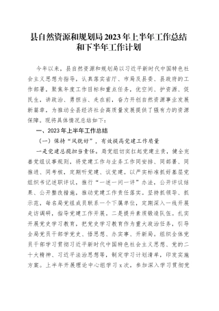 县自然资源和规划局2023年上半年工作总结和下半年工作计划（20230607）