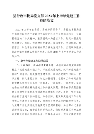 县行政审批局党支部2023年上半年党建工作总结（汇报报告）