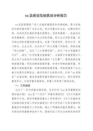 县质量发展状况分析报告（20230803）