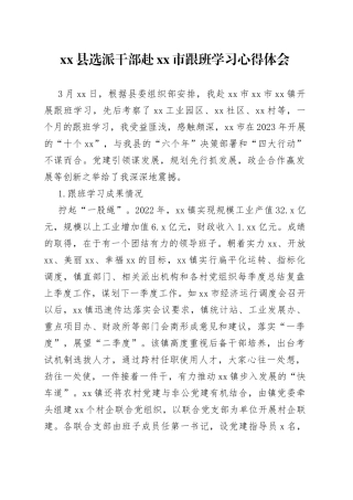 县选派干部赴市跟班学习心得体会