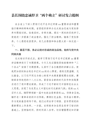 县长围绕忠诚捍卫“两个确立”研讨发言提纲