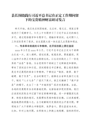 县长围绕践行习近平总书记在正定工作期间留下的宝贵精神财富研讨发言