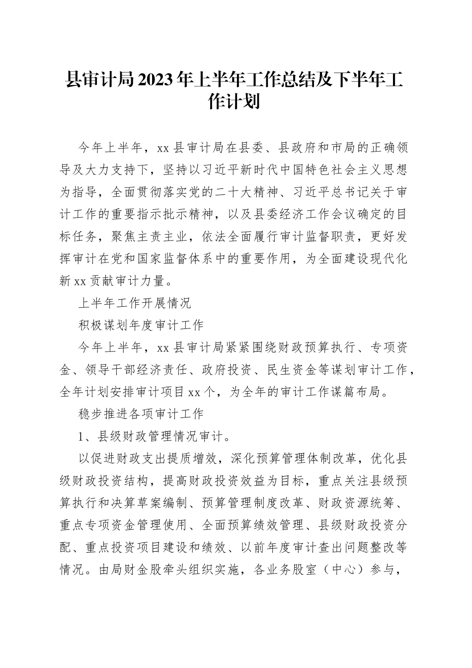 县审计局2023年上半年工作总结及下半年工作计划（20230627）_第1页