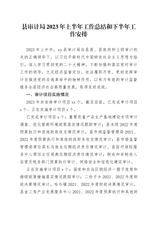 县审计局2023年上半年工作总结和下半年工作安排（20230629）
