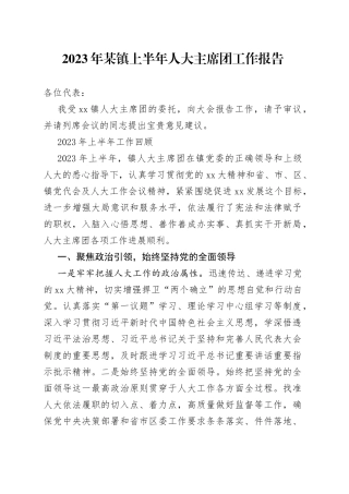 2023年某镇上半年人大主席团工作报告