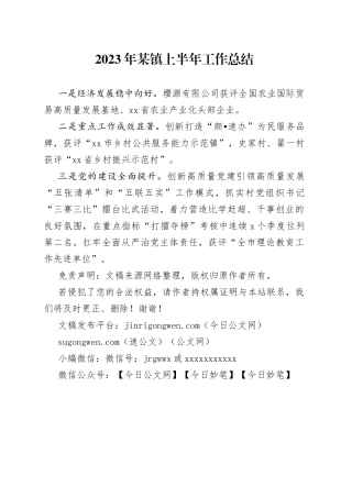 2023年某镇上半年工作总结