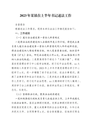 2023年某镇在上半年书记述法工作自查报告