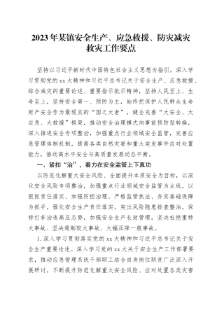 2023年某镇安全生产、应急救援、防灾减灾救灾工作要点