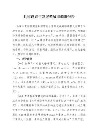 县建设青年发展型城市调研报告