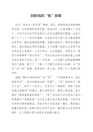 向防汛的“你”致敬