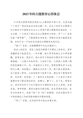 2023年的主题教育心得体会