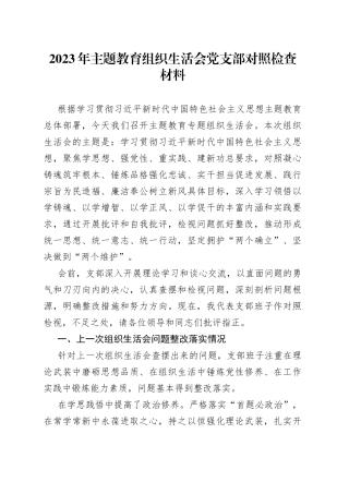 2023年的主题教育组织生活会党支部对照检查材料