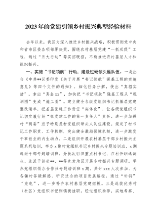 2023年的党建引领乡村振兴典型经验材料