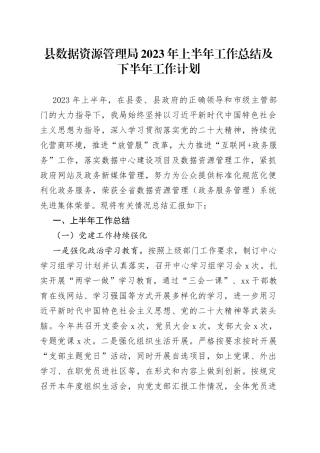 县数据资源管理局2023年上半年工作总结及下半年工作计划（20230621）