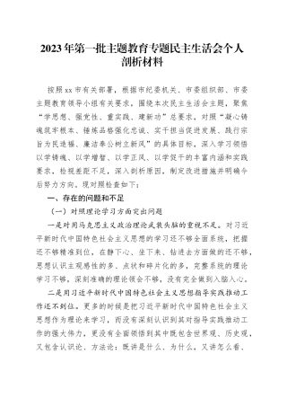2023年第一批主题教育专题民主生活会个人剖析材料
