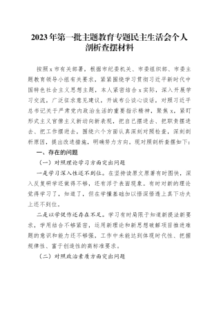 2023年第一批主题教育专题民主生活会个人剖析查摆材料