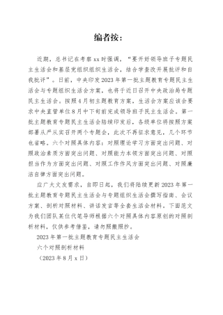 2023年第一批主题教育专题民主生活会六个对照剖析材料