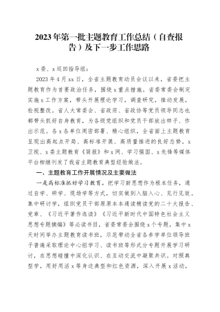 2023年第一批主题教育工作总结（自查报告）及下一步工作思路