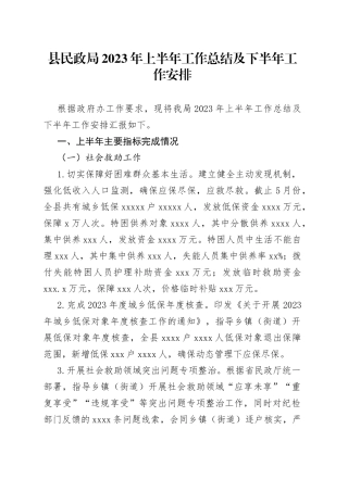 县民政局2023年上半年工作总结及下半年工作安排（20230619）