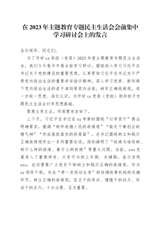 在2023年主题教育专题民主生活会会前集中学习研讨会上的发言