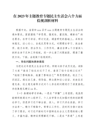 在2023年主题教育专题民主生活会六个方面检视剖析材料