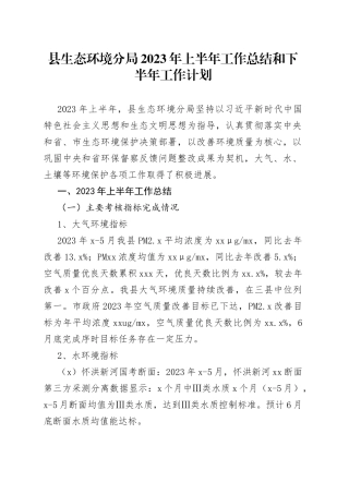 县生态环境分局2023年上半年工作总结和下半年工作计划（20230614）