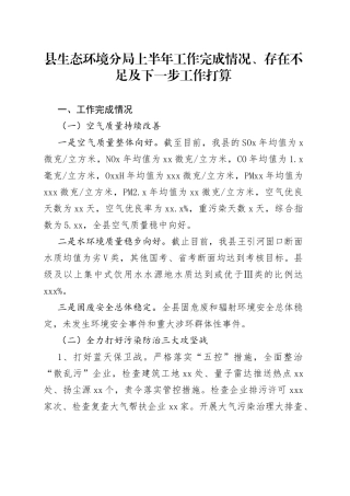 县生态环境分局上半年工作完成情况、存在不足及下一步工作打算（20230608）