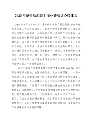 2023年纪检及巡察工作业务培训心得体会