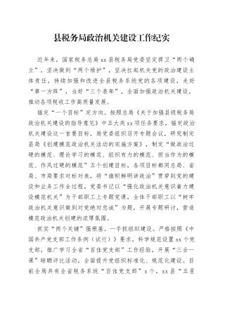 县税务局政治机关建设工作纪实（20230725）