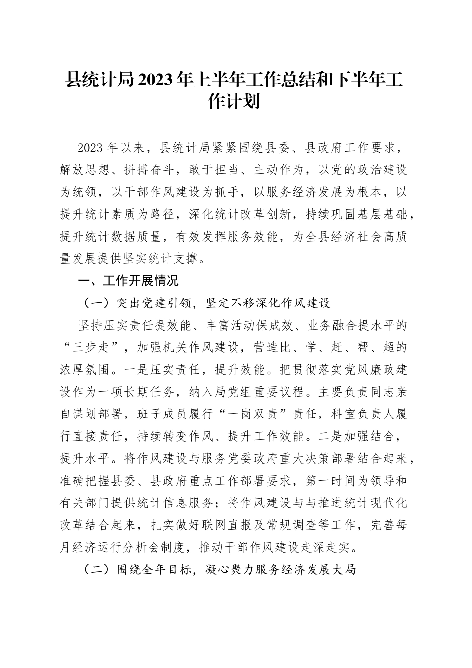 县统计局2023年上半年工作总结和下半年工作计划（20230629）_第1页