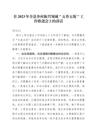 在2023年全县乡村振兴领域＂五查五促＂工作推进会上的讲话